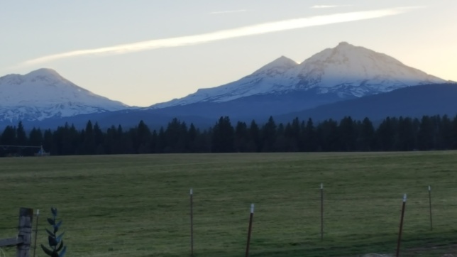The view of the Three Sisters from Jean back yard.
